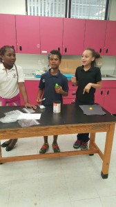 Broward Estates-STEM5